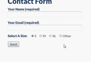 Conditional Text Field With Radio Buttons
