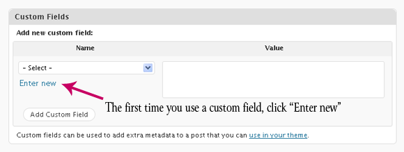 To enter the Key the first time you use the Custom Field