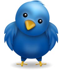 Twitter Quick Start Guide, Twitter Birdie Goes here